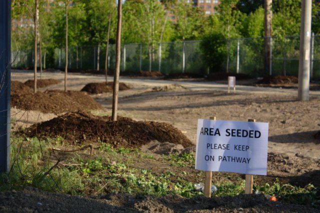 Railpath - Freshly Seeded: Railpath at Wallace Ave., 2009-05-29.