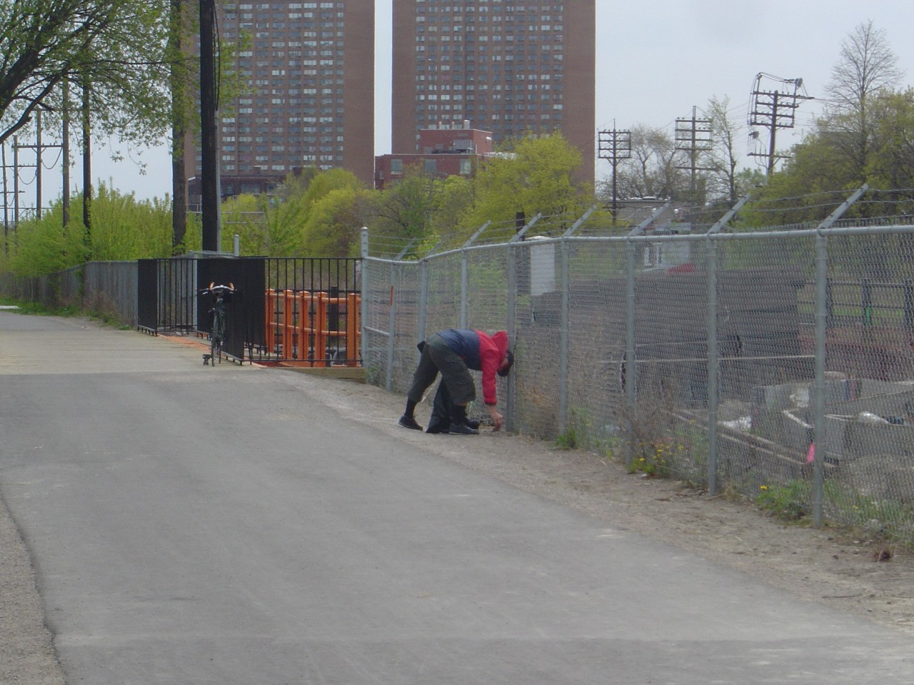 2010 Community Cleanup