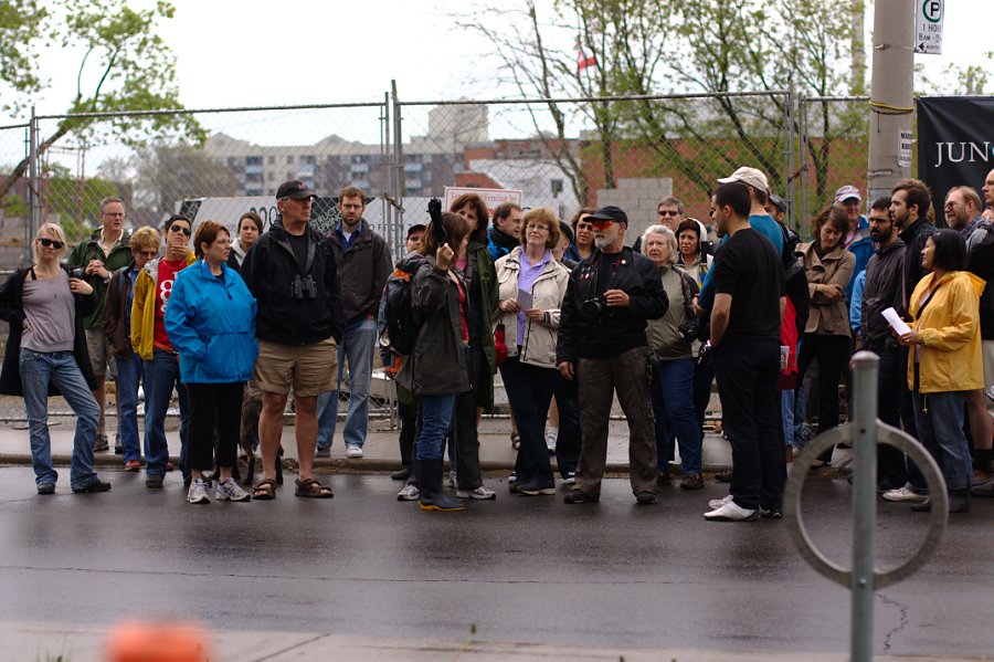 Jane's Walk - Wallace Ave.