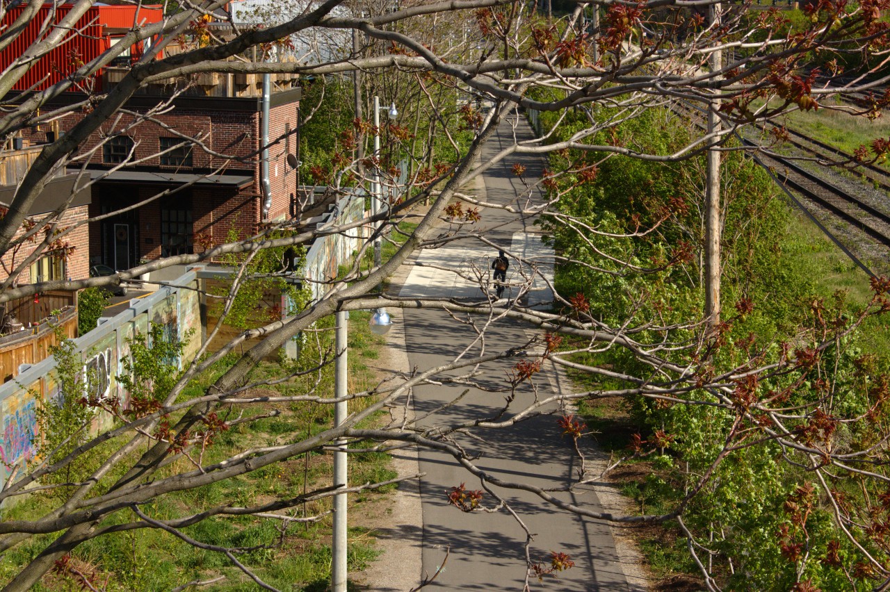 West Toronto Railpath: South from the Wallace Bridge