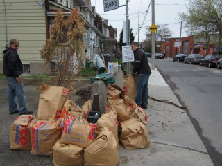 Sterling Rd. Cleanup