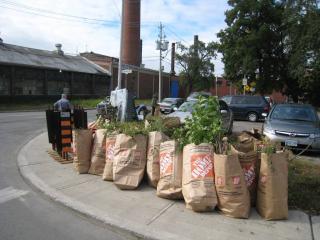 South Perth and Sterling Cleanup