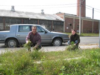 South Perth and Sterling Cleanup