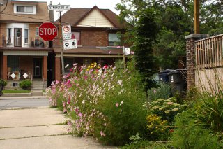 Campbell-Rankin Community Garden