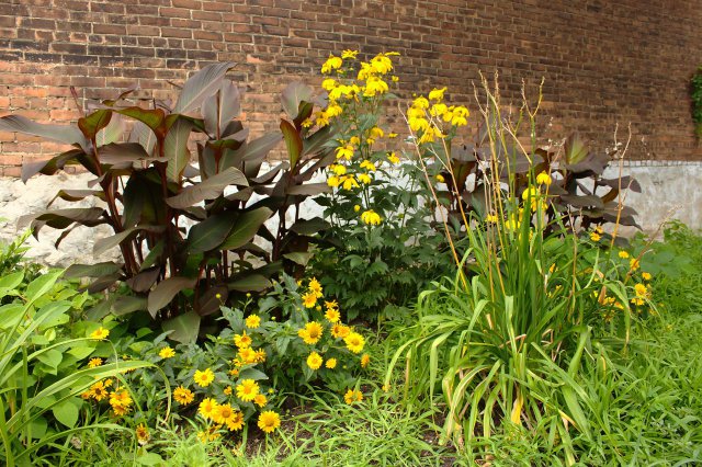 Campbell-Rankin Community Garden