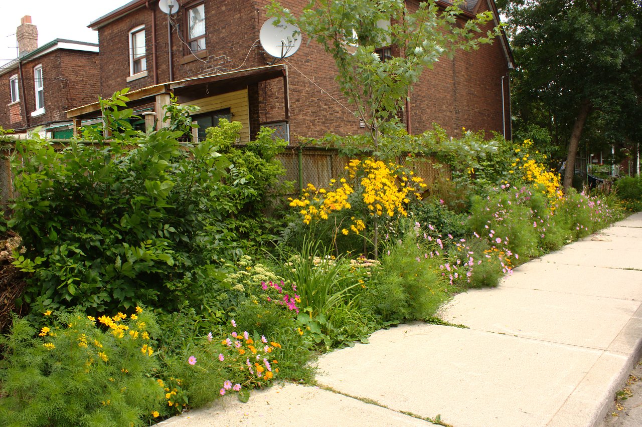 Campbell-Rankin Community Garden