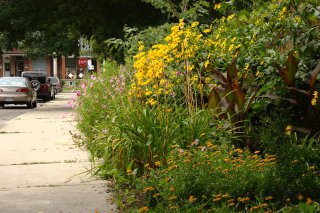 Campbell-Rankin Community Garden