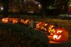 Carlton Park Pumpkin Lighting, 2009