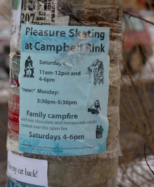 Campbell Park pleasure skating poster