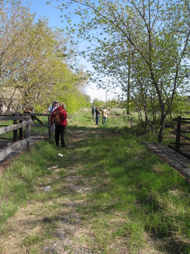 Jane's Walk - Rail Path over Bloor St.