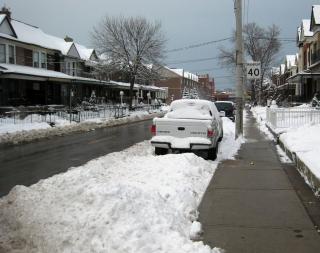 Snowy Symington Ave.